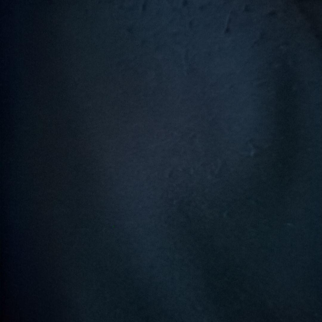 最終値下げ 2wayカラーレディコート