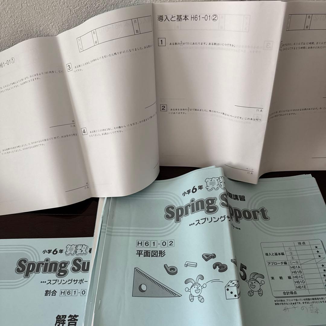 ⭐︎書込み少⭐︎ サピックス6年生　算数フルセット