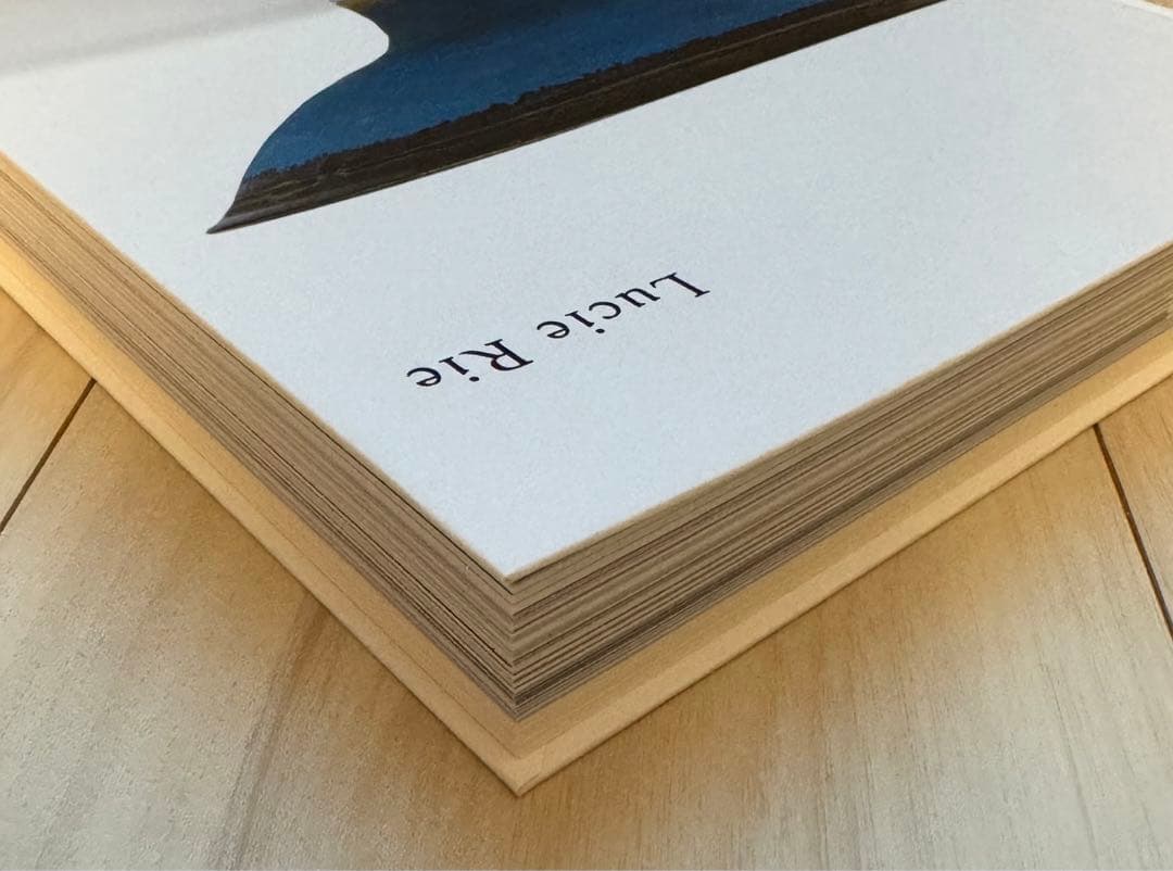 【新品】没後 20年 ルーシー・リー展 Lucie Rie 河井寛次郎　民芸