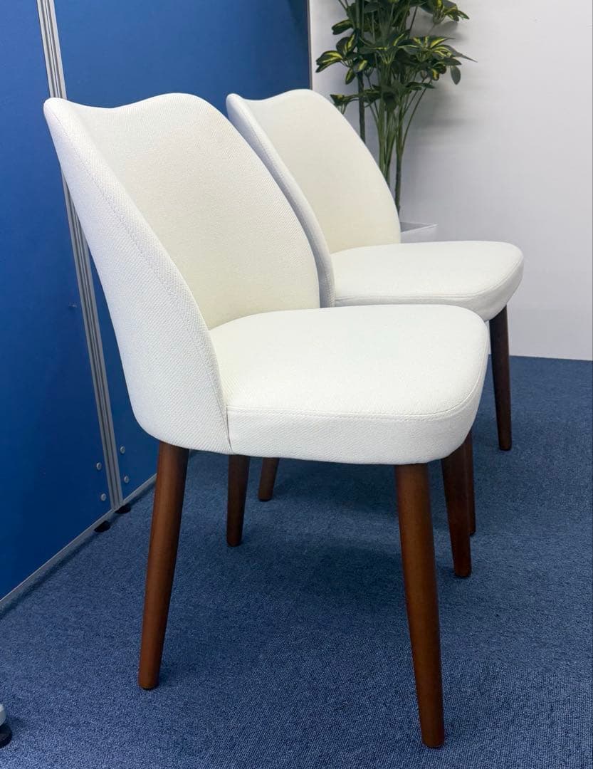 0207-K0025 ダイニングチェア 2脚セット ホワイト