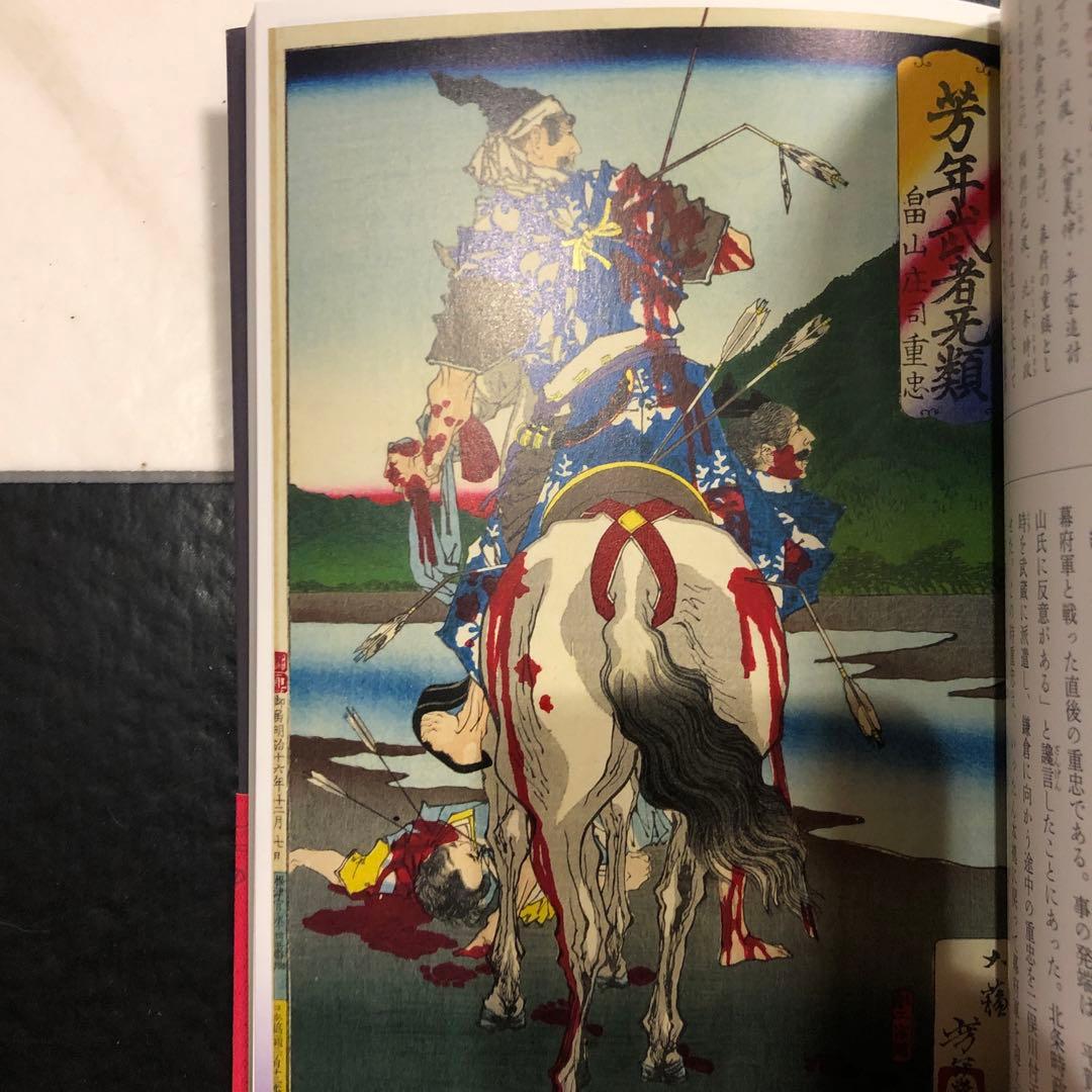 武者無類 月岡芳年の武者絵