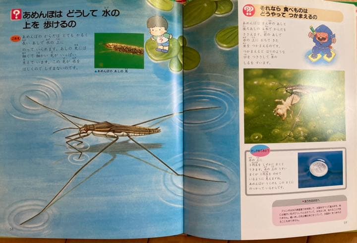 学研なぜなぜベスト図鑑20巻とこどもベスト図鑑15巻