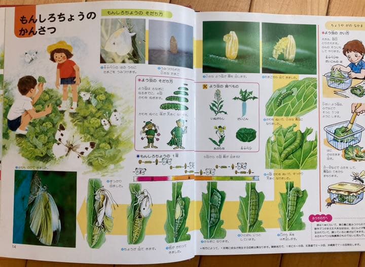 学研なぜなぜベスト図鑑20巻とこどもベスト図鑑15巻