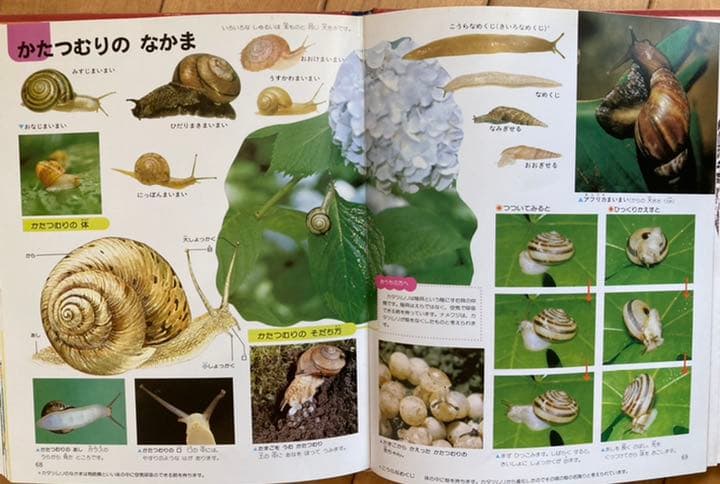 学研なぜなぜベスト図鑑20巻とこどもベスト図鑑15巻