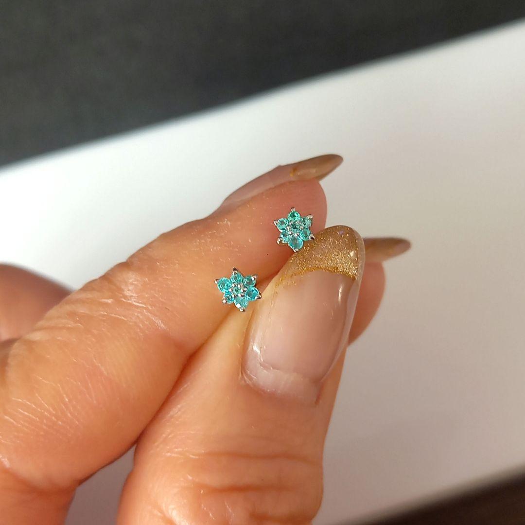 Pt900 パライバトルマリン ピアス
