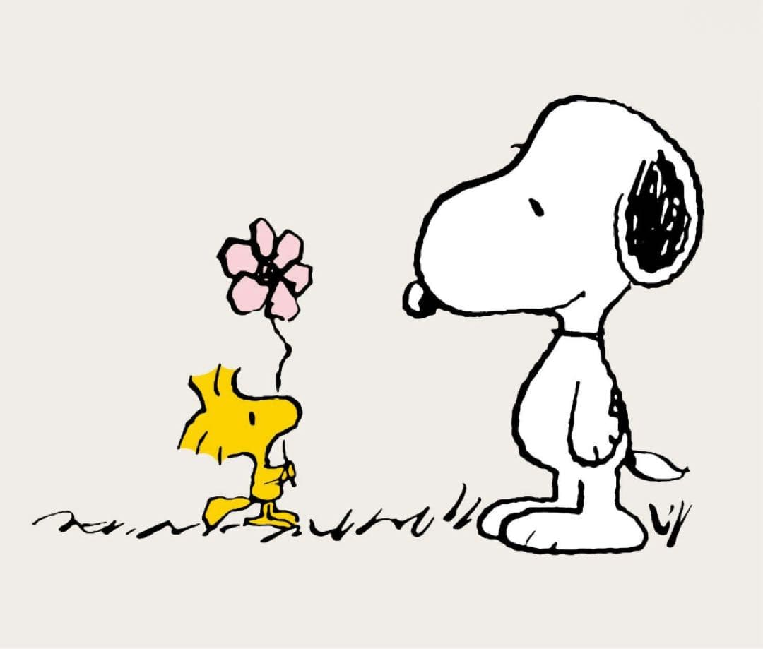 よんよん様 リクエスト 2点 まとめ商品