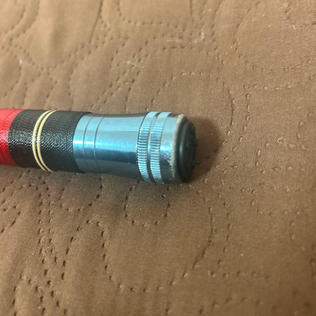 躍鱗　本ちぬ　2号　540