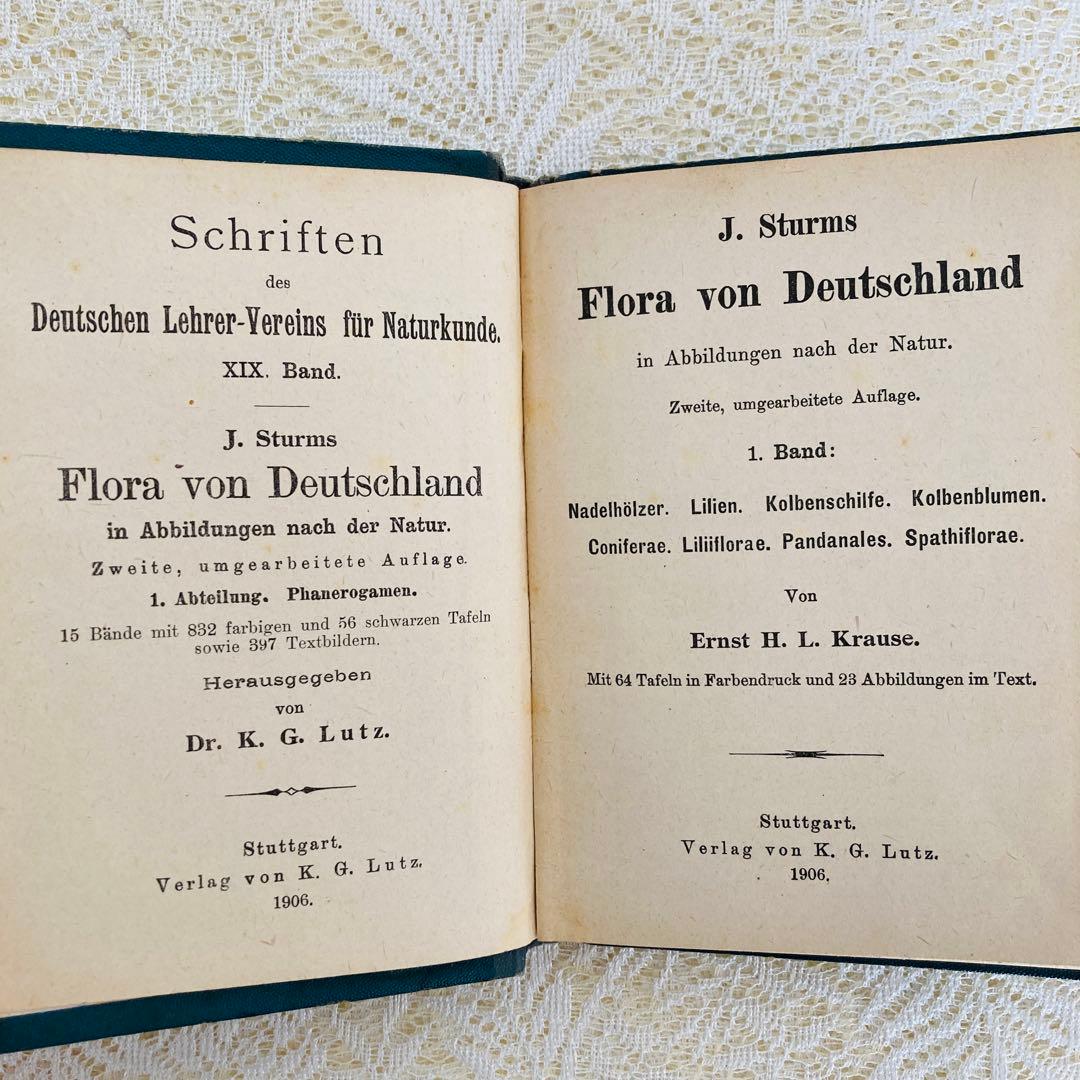 洋書　古書　ドイツのアンティーク植物図鑑　第1巻　精密で美しい植物画♡