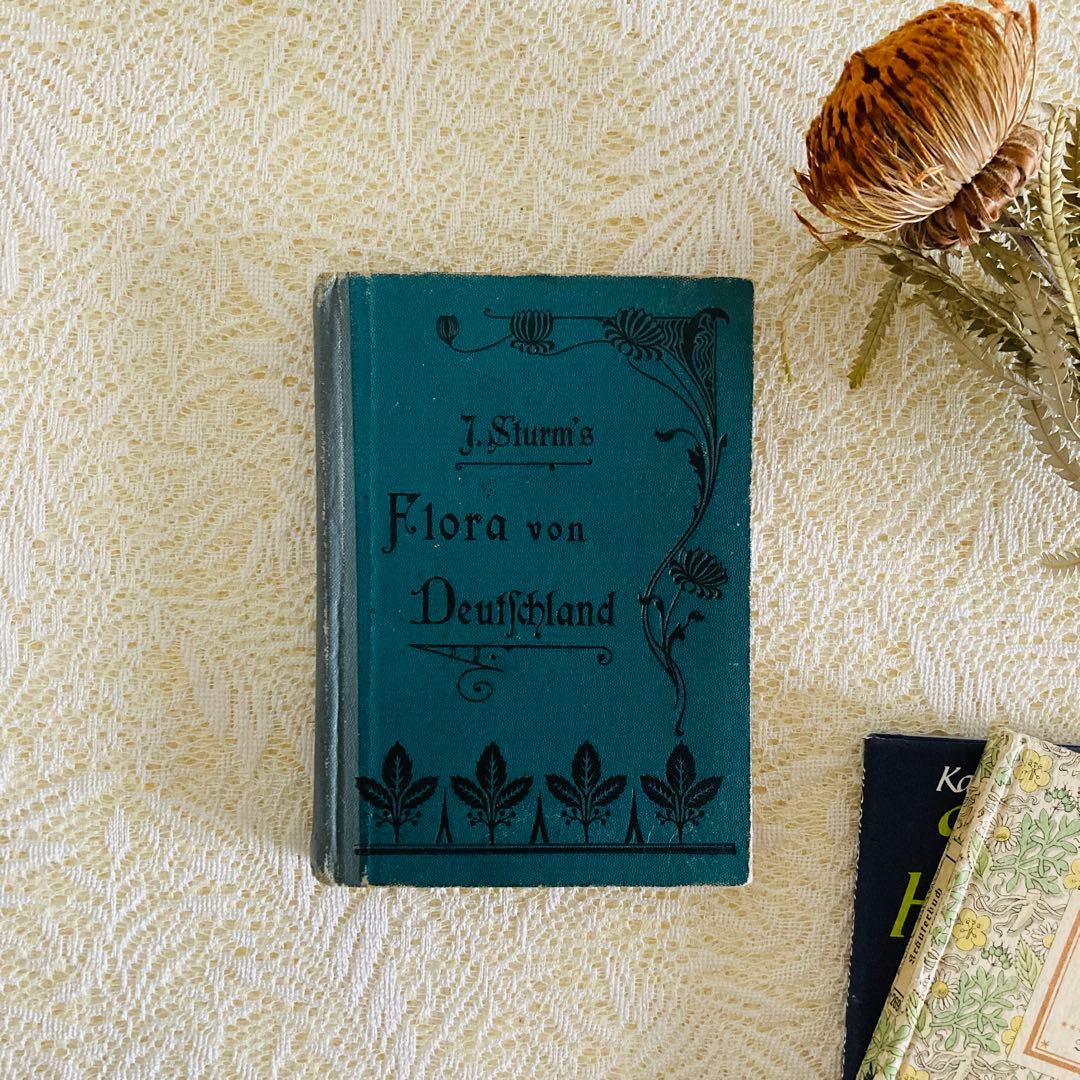 洋書　古書　ドイツのアンティーク植物図鑑　第1巻　精密で美しい植物画♡