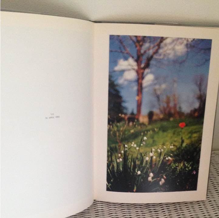 テリ・ワイフェンバック Terri Weifenbach