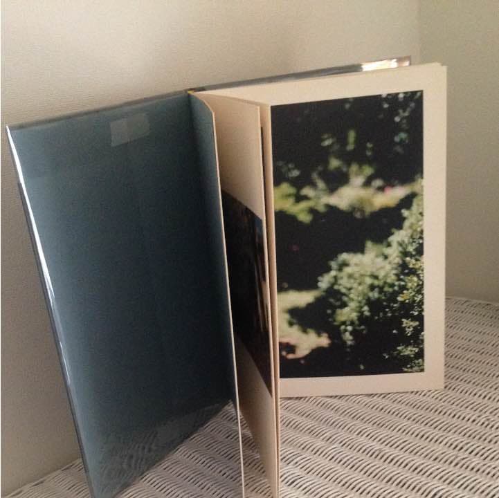 テリ・ワイフェンバック Terri Weifenbach