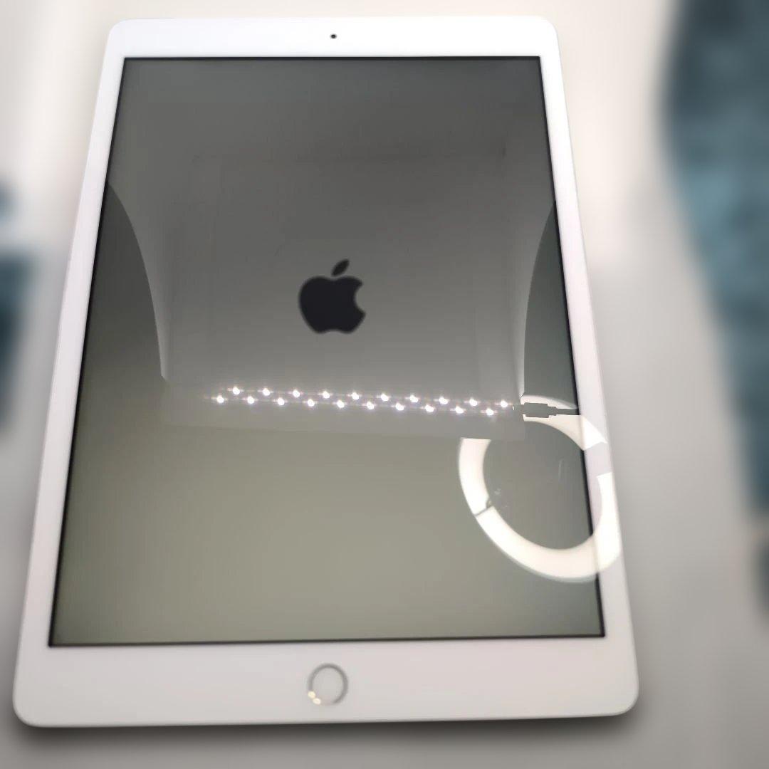 柳*郎様 iPad 第8世代 32GB セルラーモデル 32GBシルバー85％