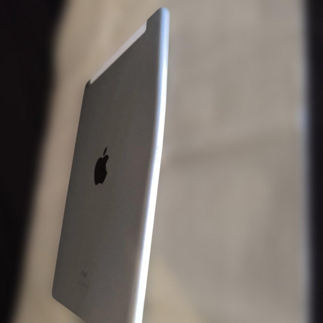 柳*郎様 iPad 第8世代 32GB セルラーモデル 32GBシルバー85％