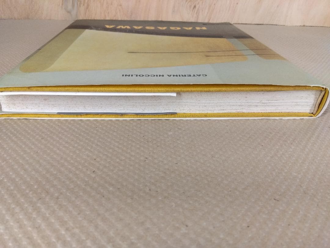 現代アート　長澤英俊　Hidetoshi Nagasawa 全作品集　彫刻