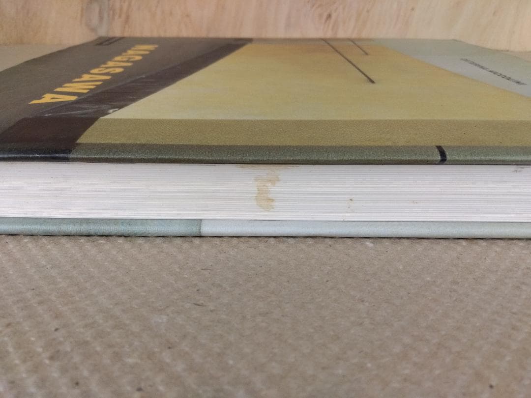 現代アート　長澤英俊　Hidetoshi Nagasawa 全作品集　彫刻