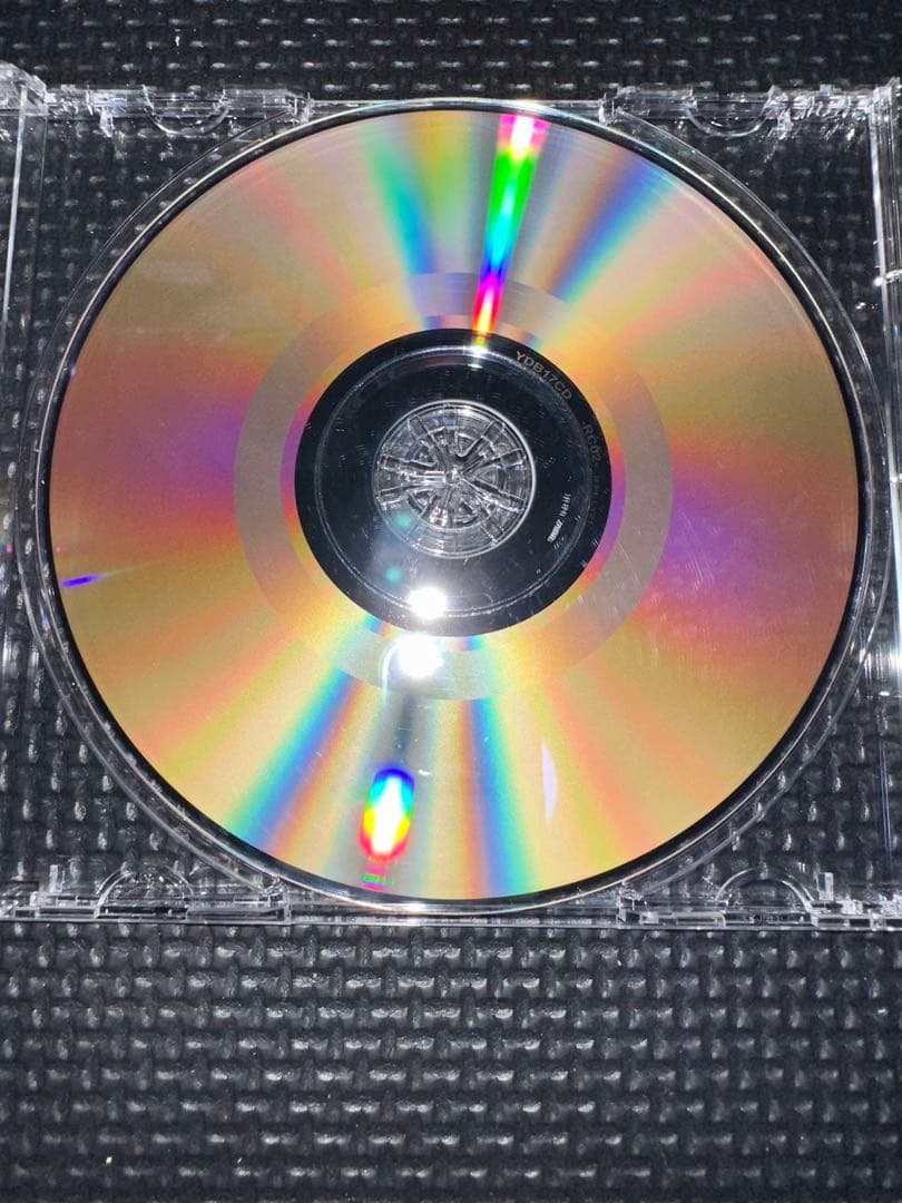 ozrosaurus 影光り　光り影