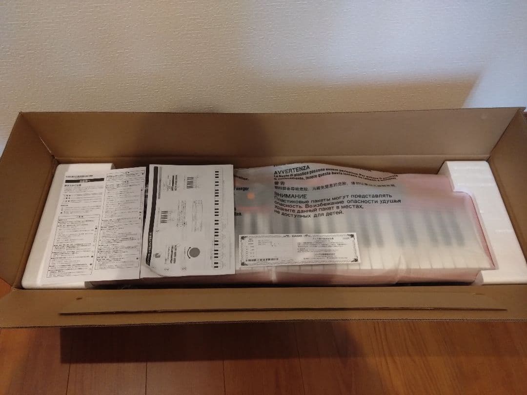 CASIO CT-S200RD カシオトーン