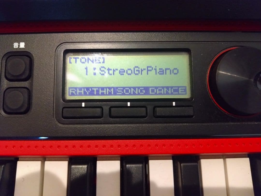 CASIO CT-S200RD カシオトーン