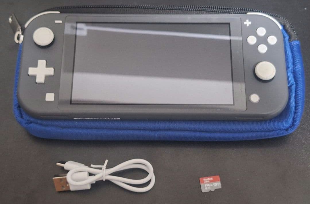 Nintendo Switch Lite　グレー　ケース&SDカード256GB