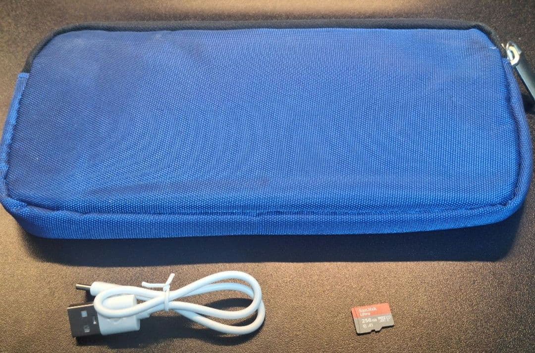 Nintendo Switch Lite　グレー　ケース&SDカード256GB