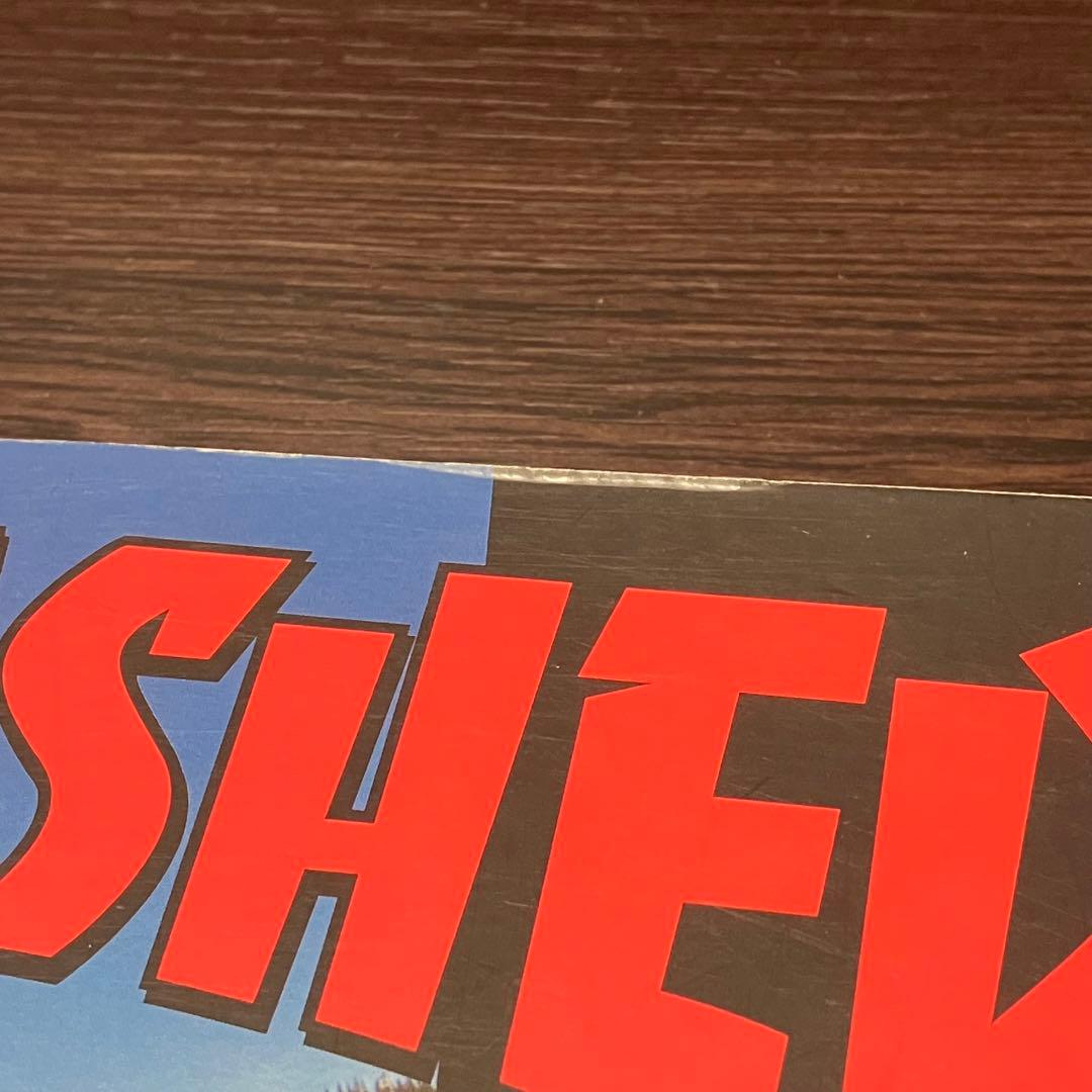 THRASHER Epic Spots 写真集 スラッシャー スケートボード