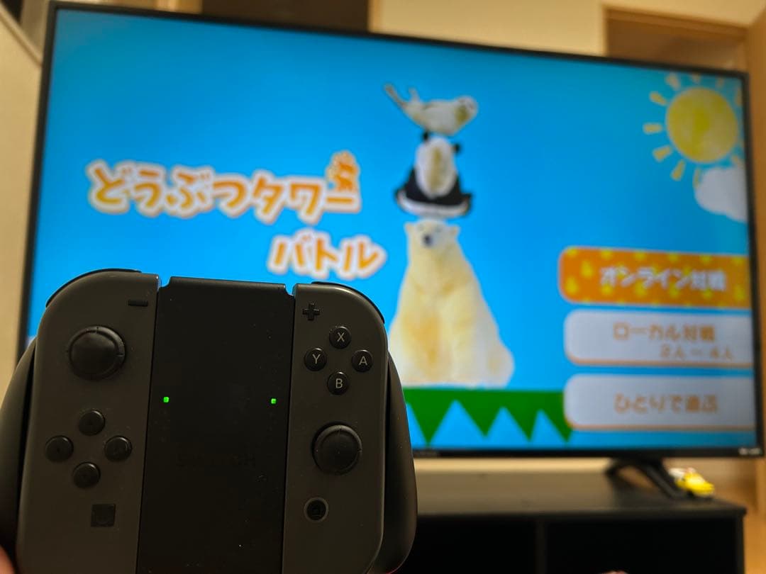 ニンテンドー　Switch 付属品多数