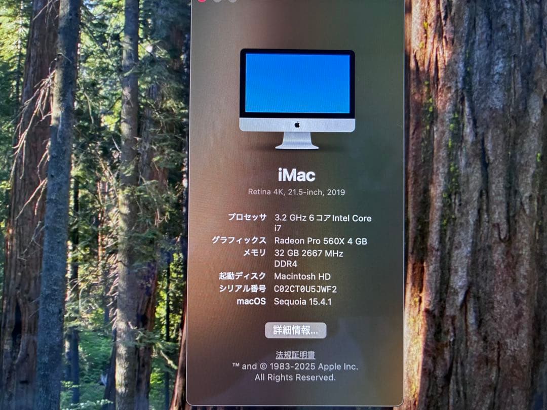 ✳︎メモリ32GB ストレージ1TB✳︎ iMac 21.5インチ core i7