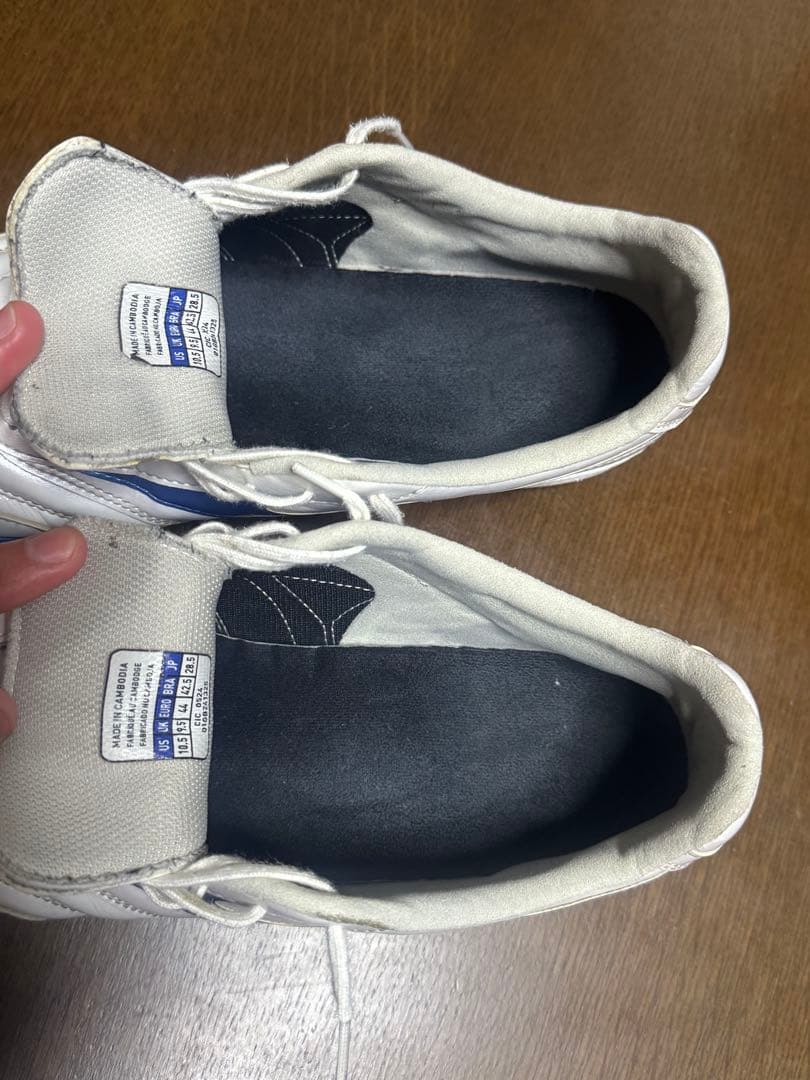 ミズノ MORELIA モレリア　サラ　プロ　TF トレシュー 28.5