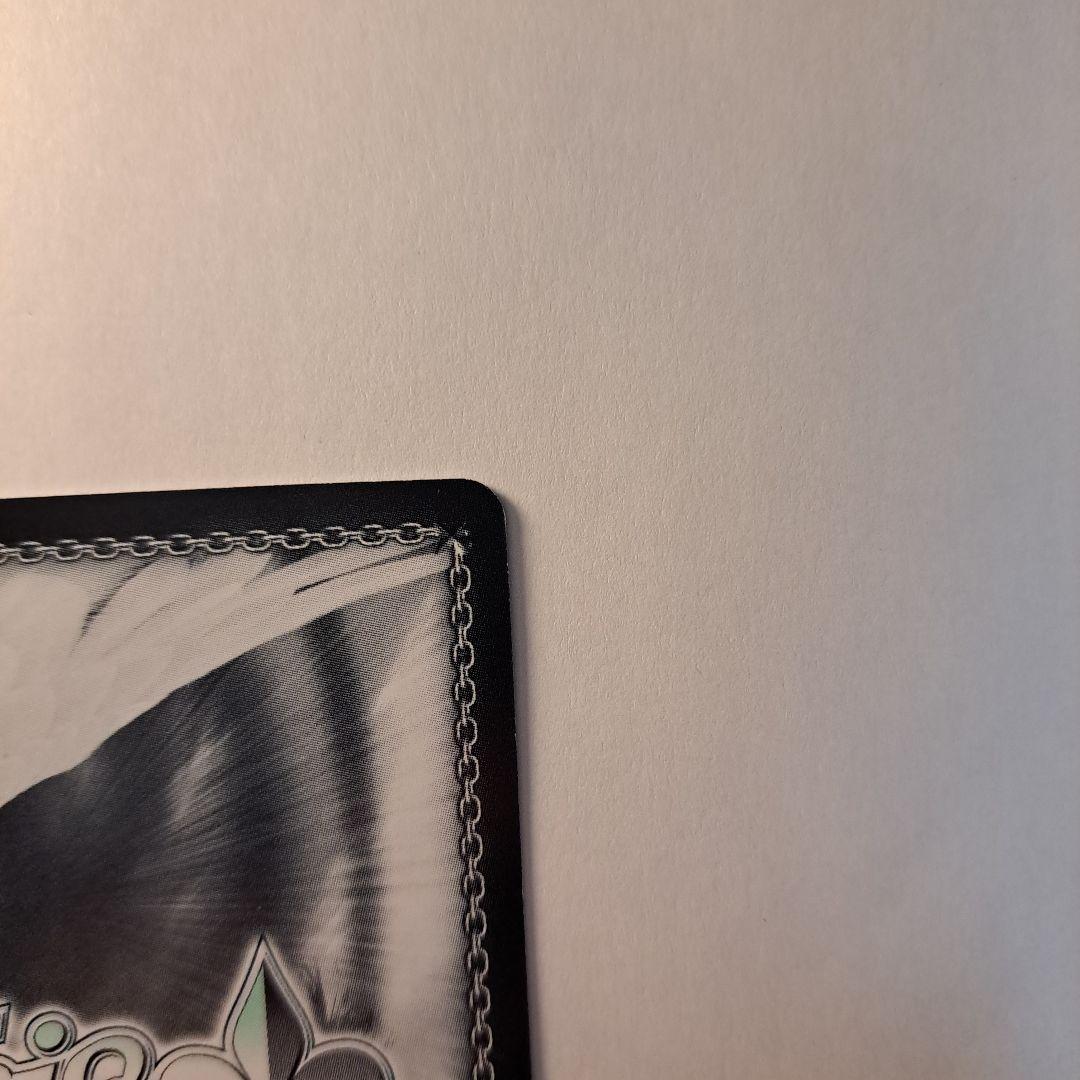 ヴァイスシュヴァルツ 戦う覚悟 凛 SP