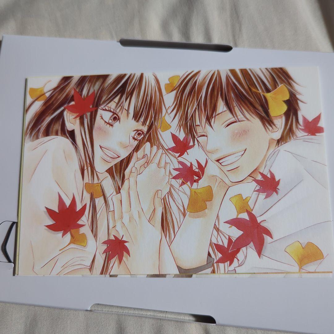 【美品】君に届け プレミアムエディション 初回限定盤 初回生産限定 三浦春馬