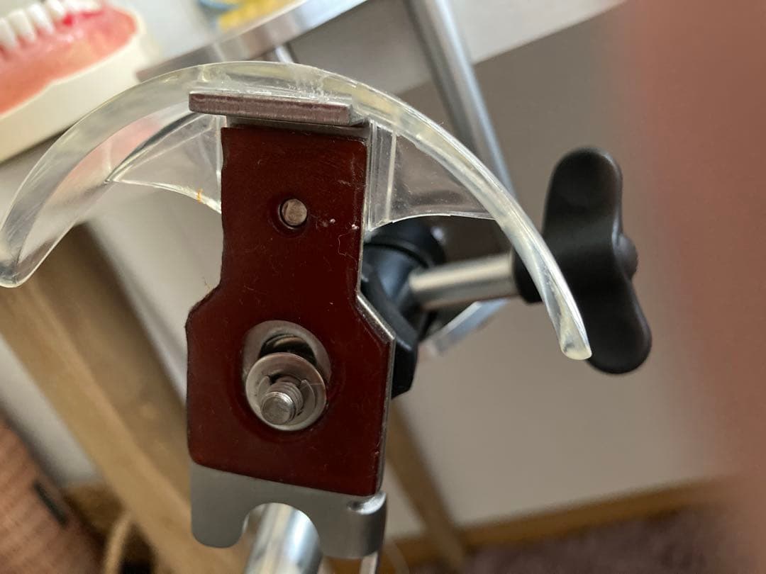 シンプルマネキン　歯科　NISSIN 歯科用模型