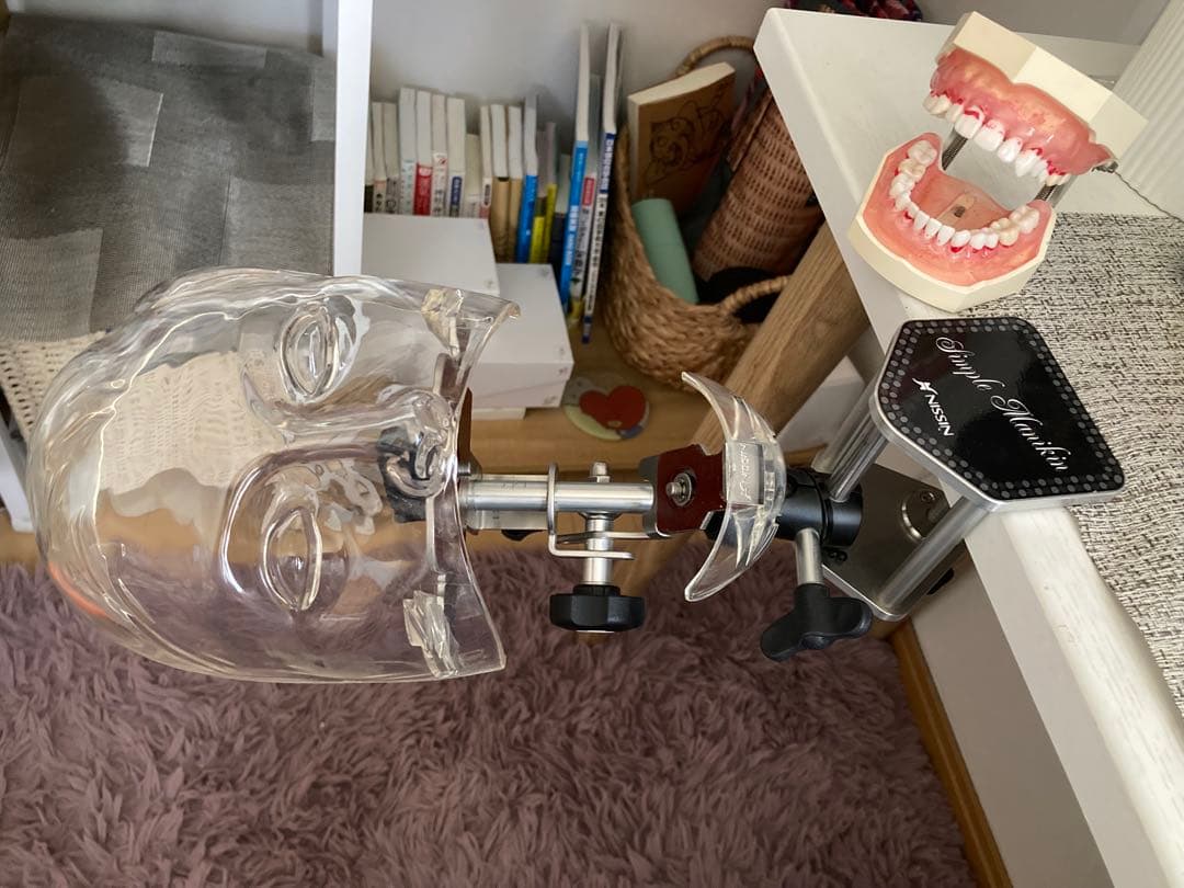 シンプルマネキン　歯科　NISSIN 歯科用模型