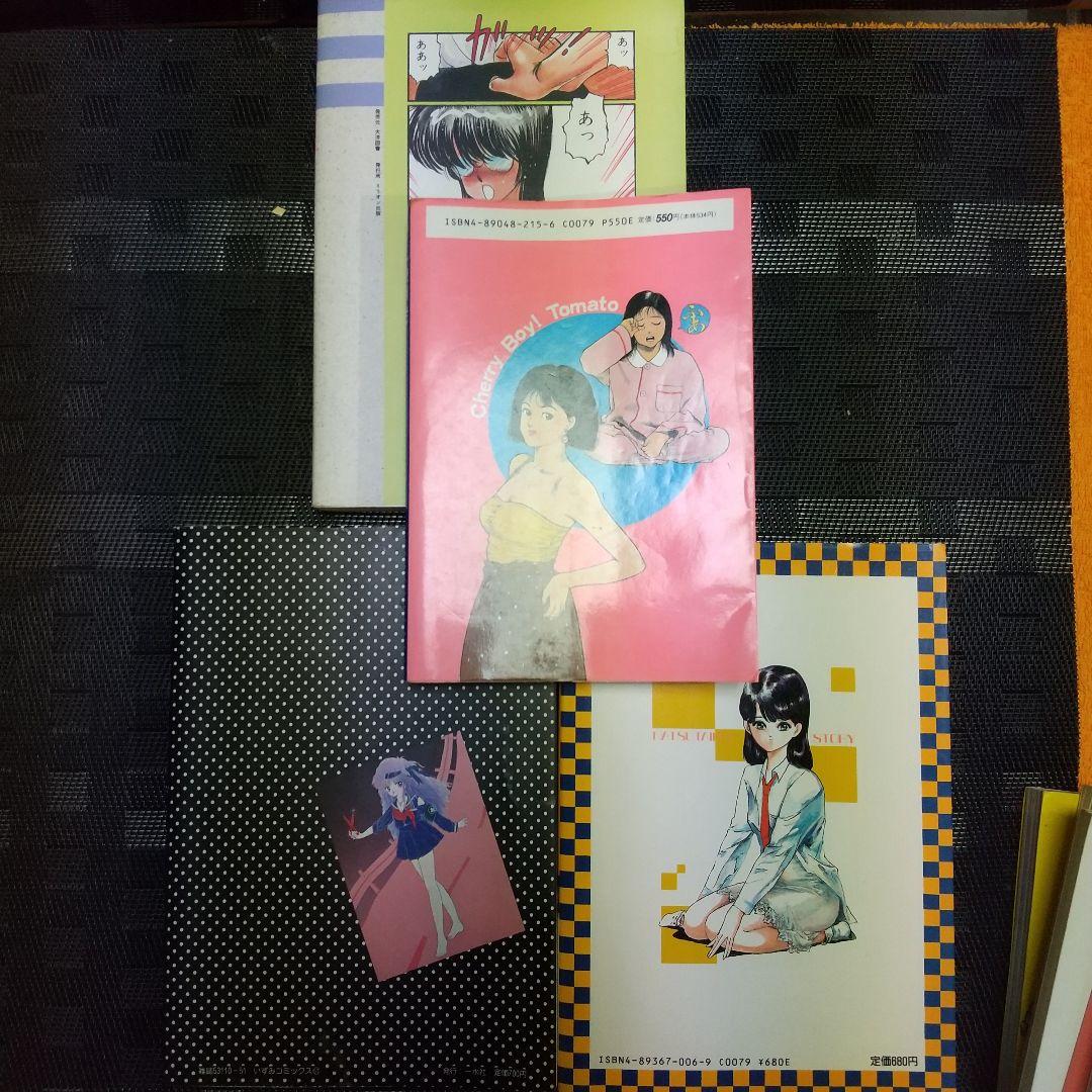 永田トマト 矢島みのる 雨宮じゅん 麻野明 夏体験STORY等8冊セット