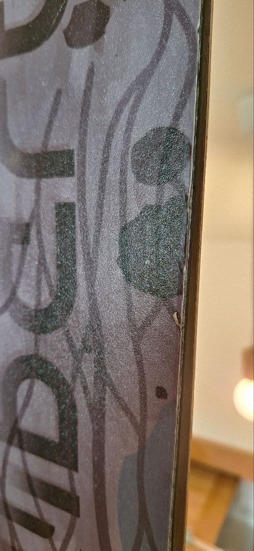 フリースタイルスキー Liberty Antigen 168