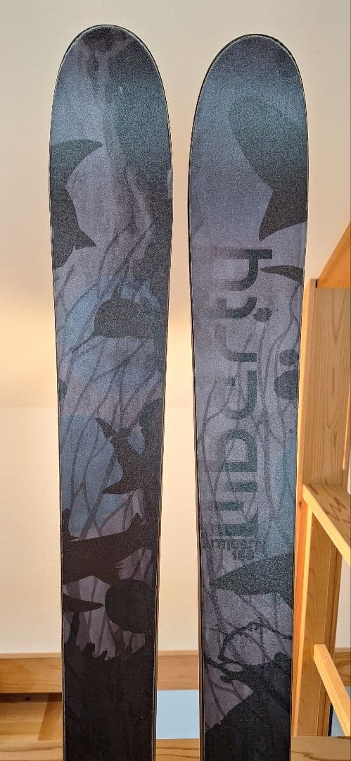 フリースタイルスキー Liberty Antigen 168