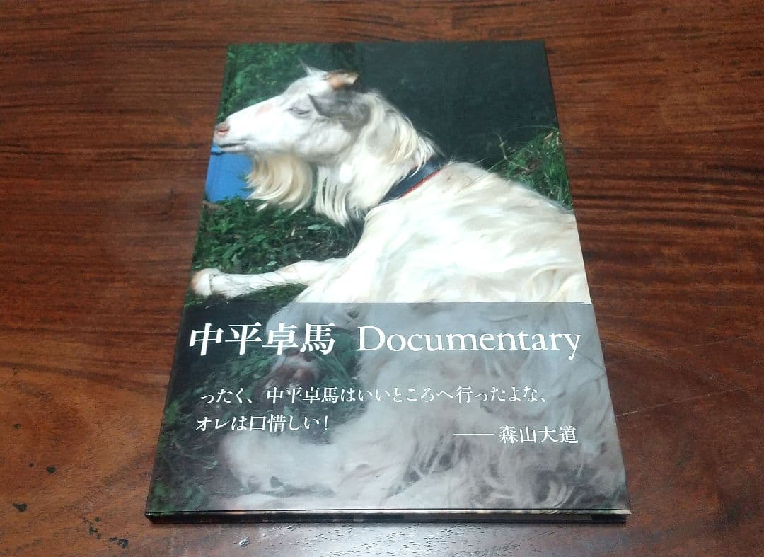 【古書】Documentary 中平卓馬