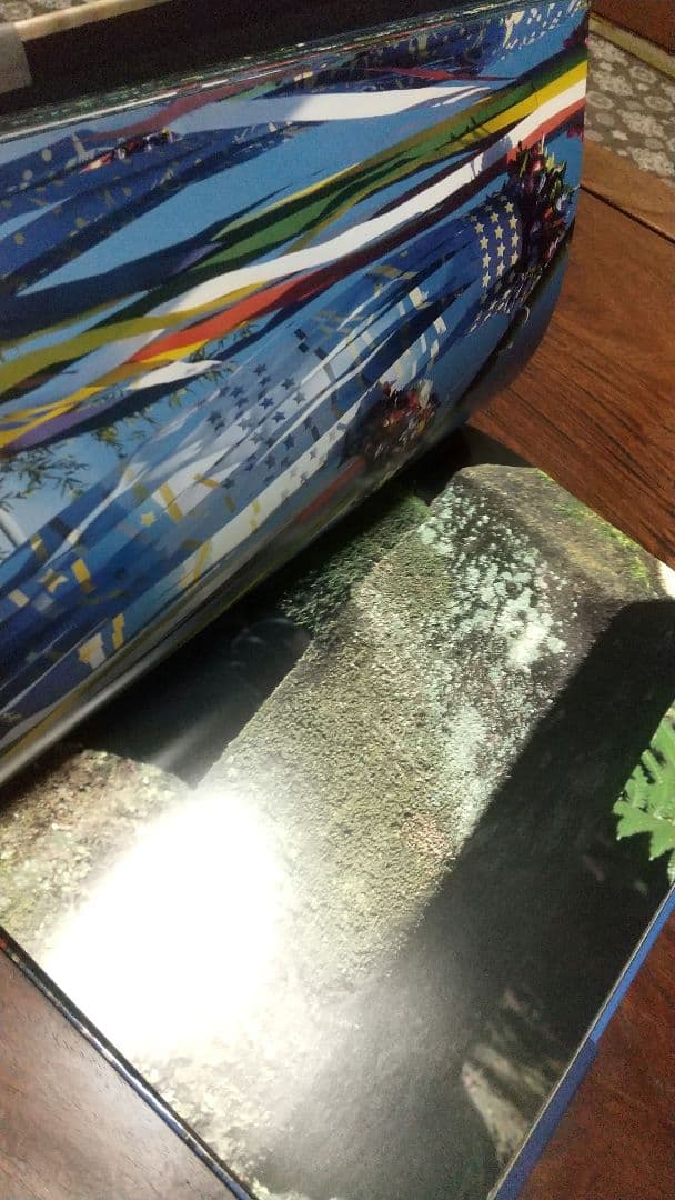 【古書】Documentary 中平卓馬