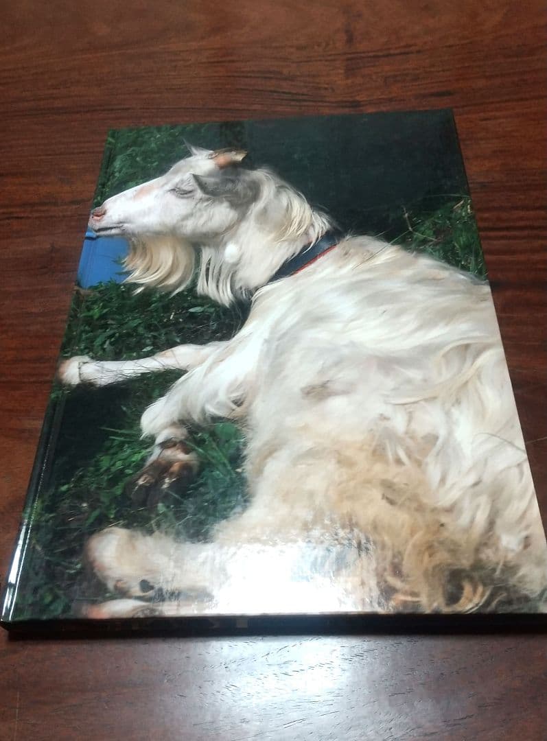 【古書】Documentary 中平卓馬