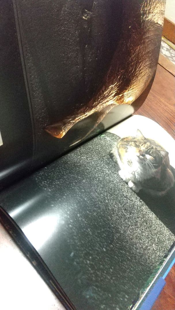 【古書】Documentary 中平卓馬