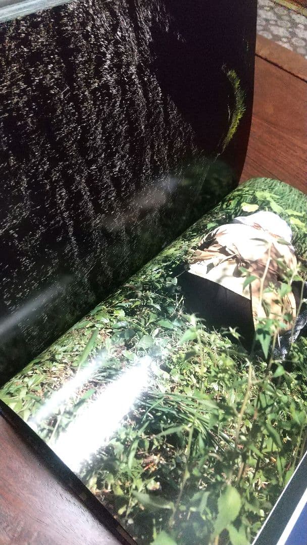 【古書】Documentary 中平卓馬