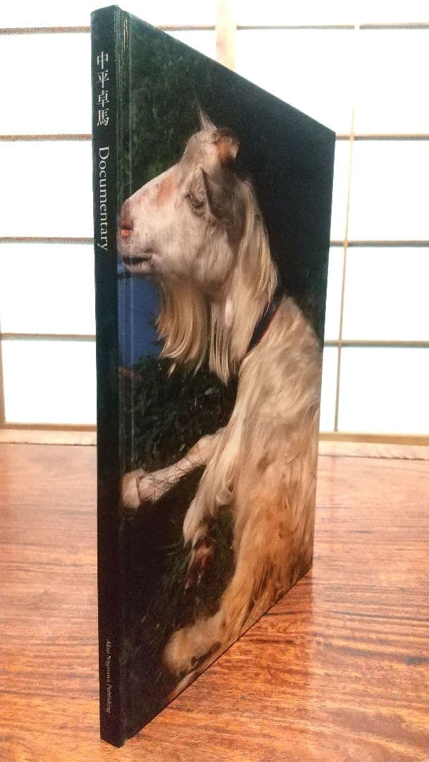 【古書】Documentary 中平卓馬