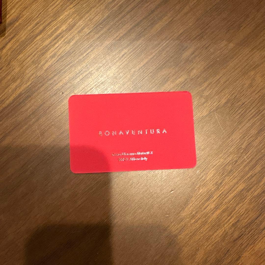 BONAVENTURA （iPhone16proケース）