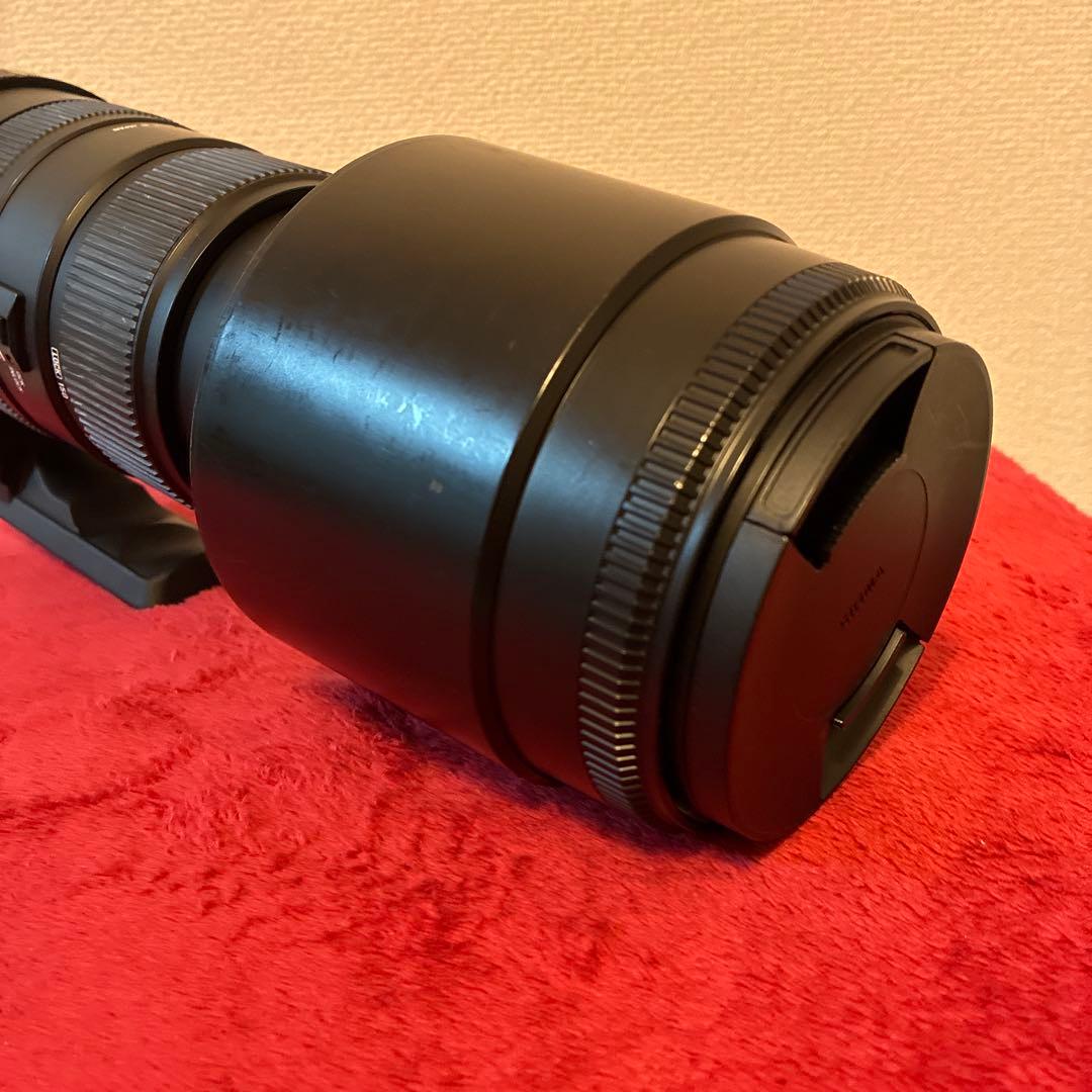 SIGMA 150-500mm F5-6.3 APO DG OS ニコン
