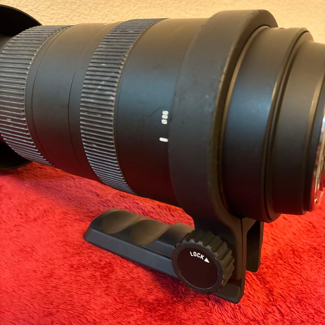 SIGMA 150-500mm F5-6.3 APO DG OS ニコン