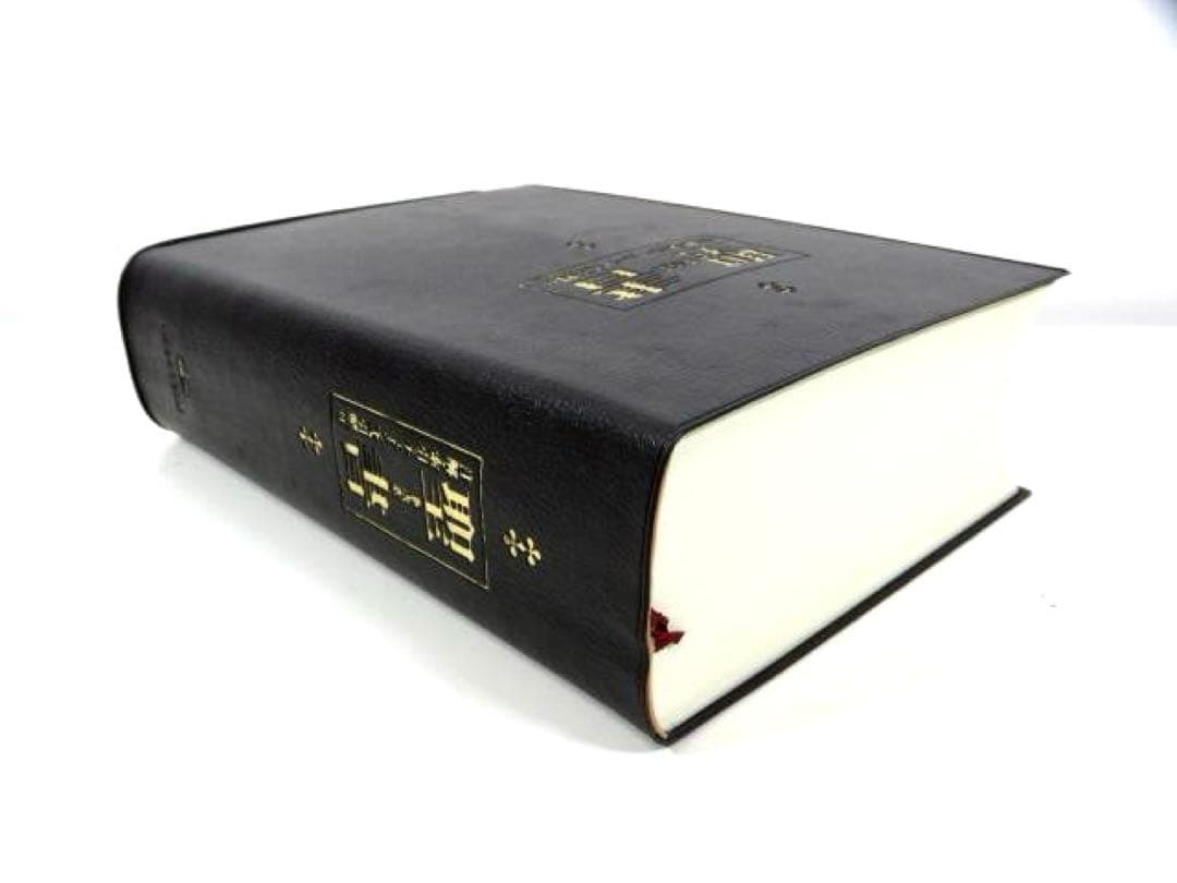 聖書 改訂新版: 新改訳 注解・索引・チェーン式引照付