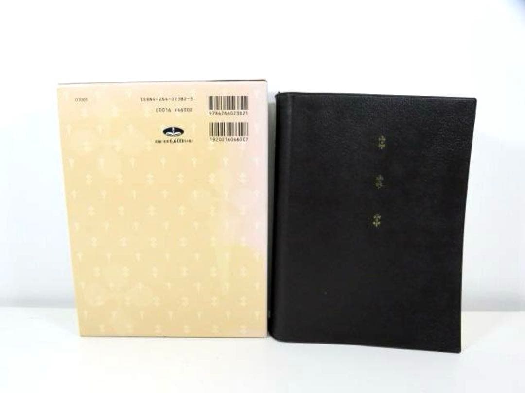 聖書 改訂新版: 新改訳 注解・索引・チェーン式引照付