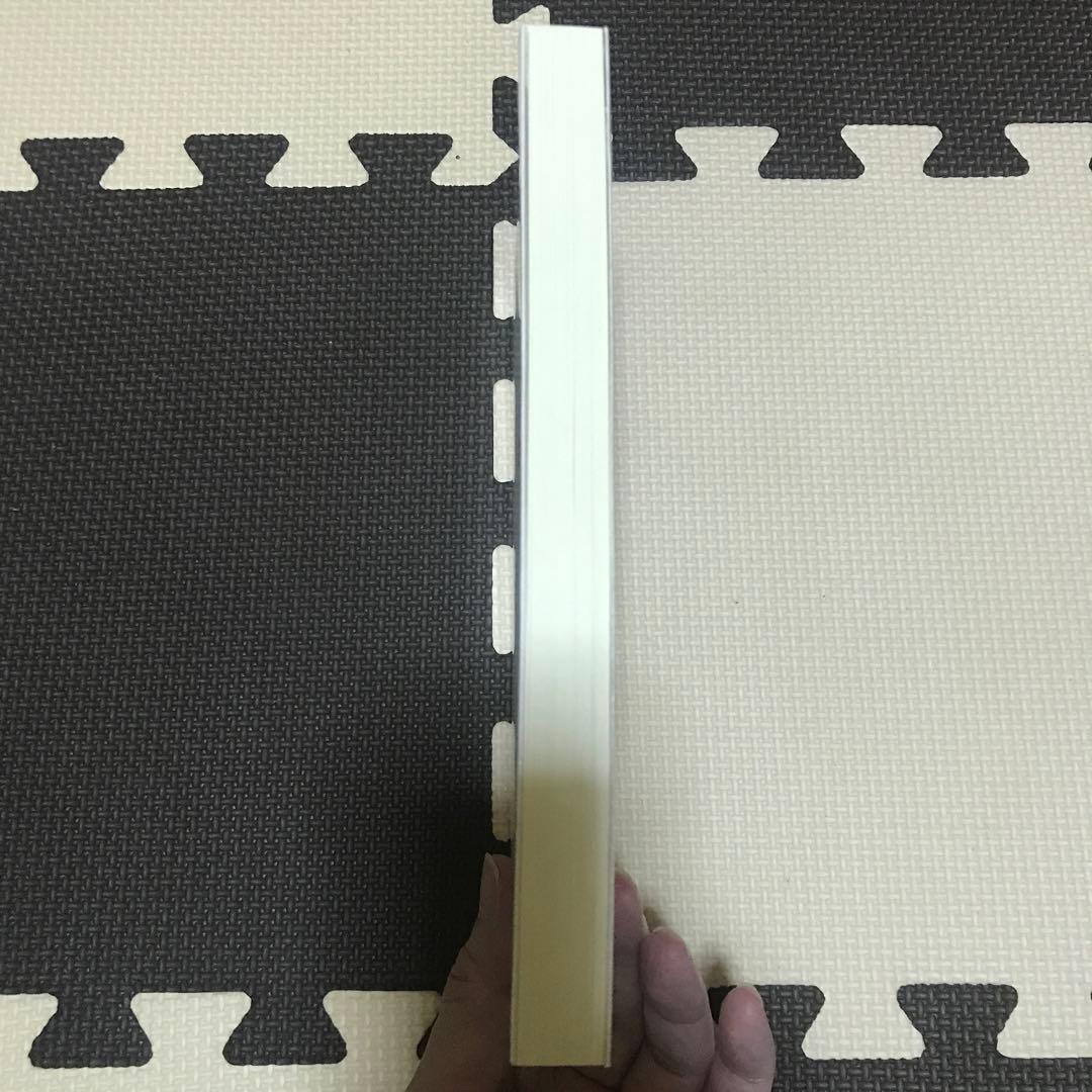 相似象学会誌　相似象　第９号