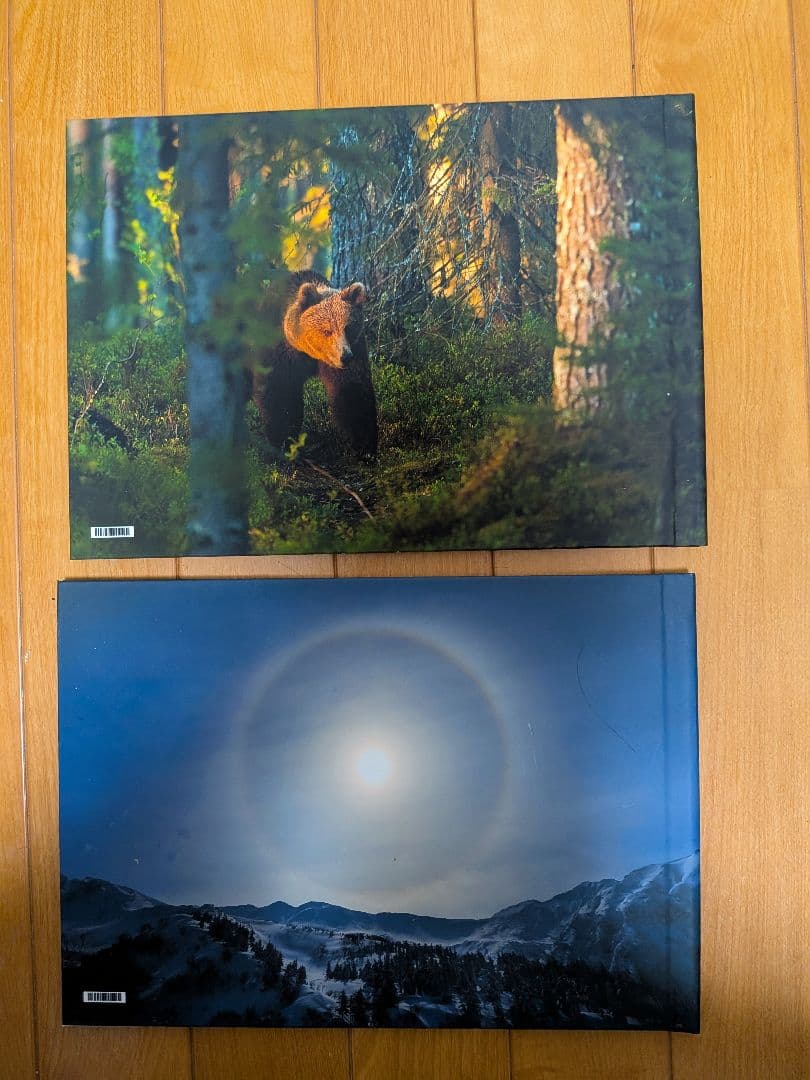 林祐介　KARHU & Picturesque Winter Landscape