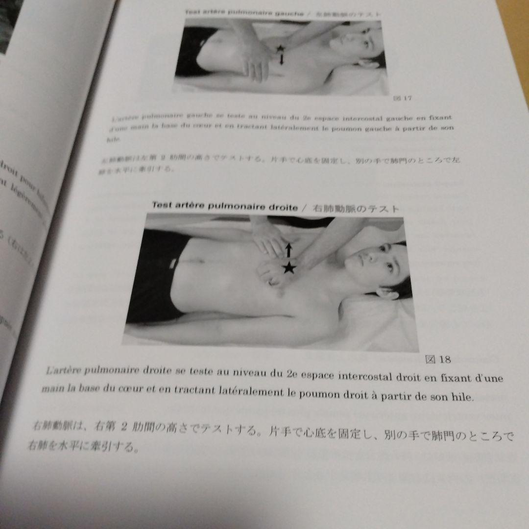 オステオパシー医学のメカニカルリンク :動脈と自律神経系