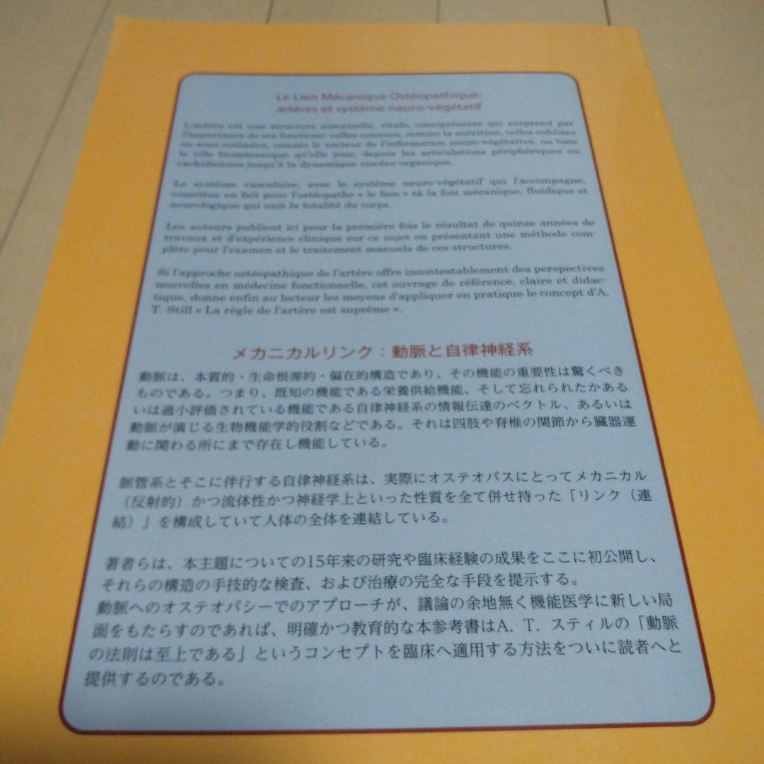オステオパシー医学のメカニカルリンク :動脈と自律神経系